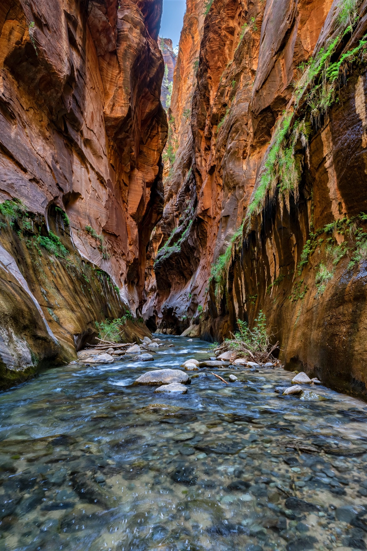 The Virgin River flowing through the Narrows slot canyon in Zion National Park